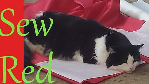 Sew Sunday Catch Up || Stitch & B*