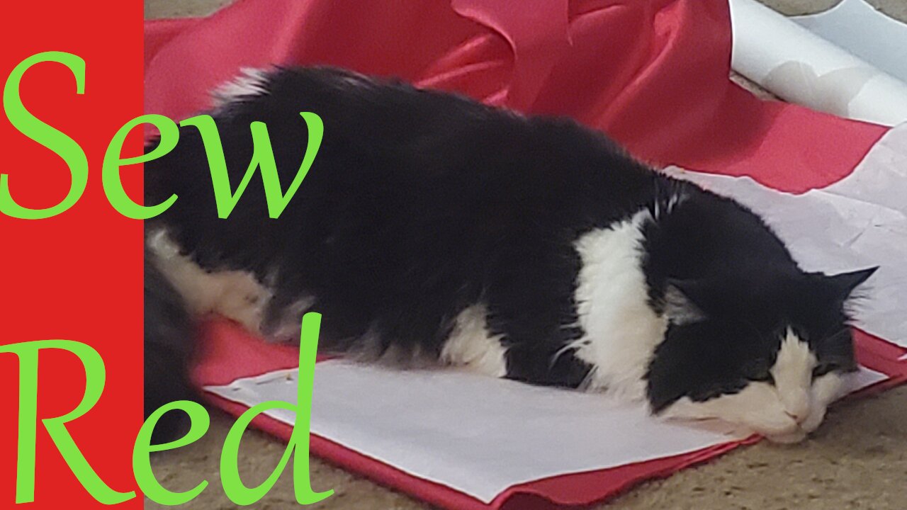 Sew Sunday Catch Up || Stitch & B*