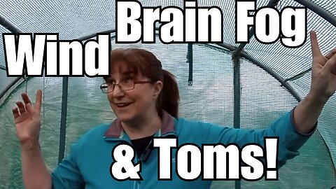 Polytunnel Sorting Inside & Out! | Scottish Weather 🌧️