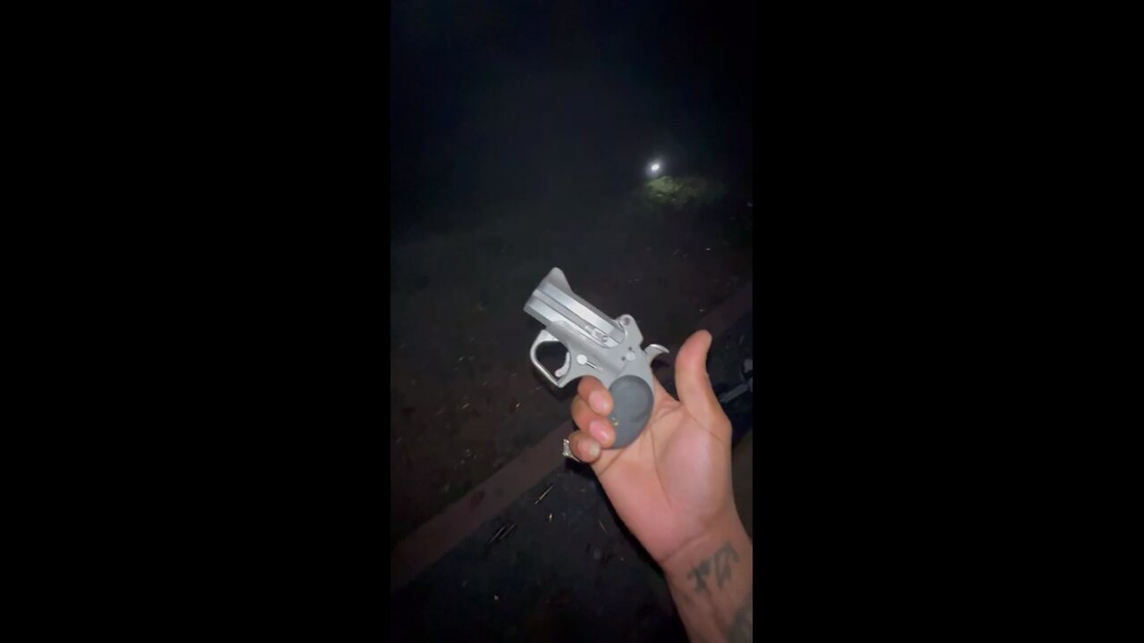 Me and the fam mag dumping all the guns