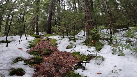 Take a Hike