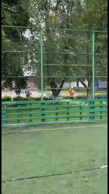 Lutsk: Ukrainian “Volunteer” Flees Draft Officers as Schoolboys Cheer Him On