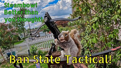 Steambow Stinger 2! More Accurate than you thought! (Ban State Tactical)