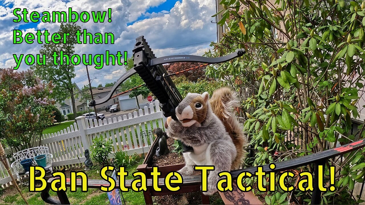 Steambow Stinger 2! More Accurate than you thought! (Ban State Tactical)