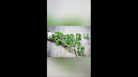 What herb Thyme do for your health