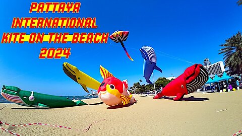 Ray Roams To The Pattaya Int. Kite On The Beach 2024 | Pattaya | Thailand 🇹🇭