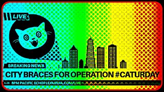 Operation #Caturday