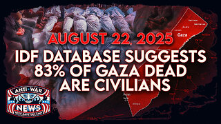 IDF Database Suggests 83% of Gaza Dead Are Civilians, Putin's Conditions for Peace Deal, and More