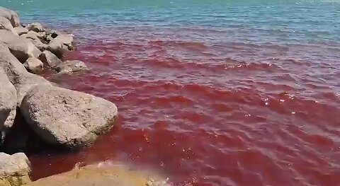 The Sea of Galilee Turns Blood Red: Biblical Prophecy or Natural Wonder?