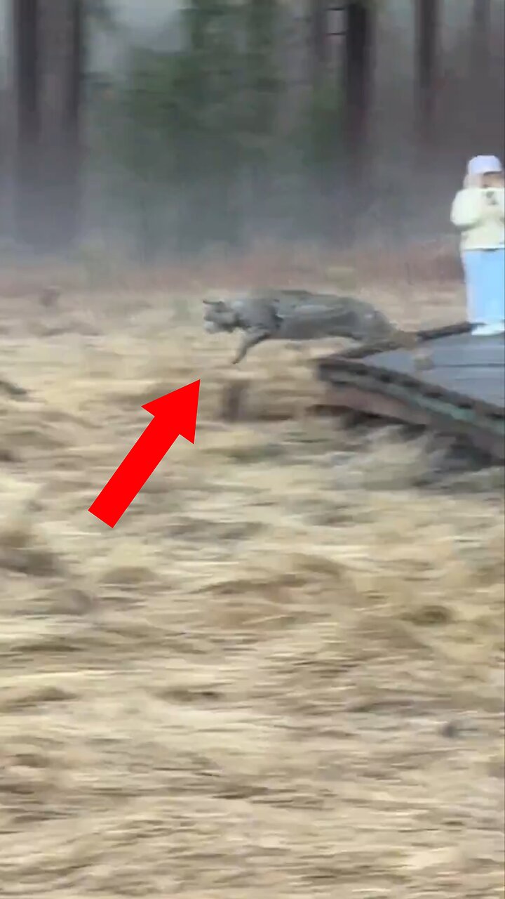 Pegados a sus teléfonos, no se percatan de un peligro a pocos metros