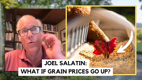 What If GRAIN Costs Skyrocket? Joel Salatin