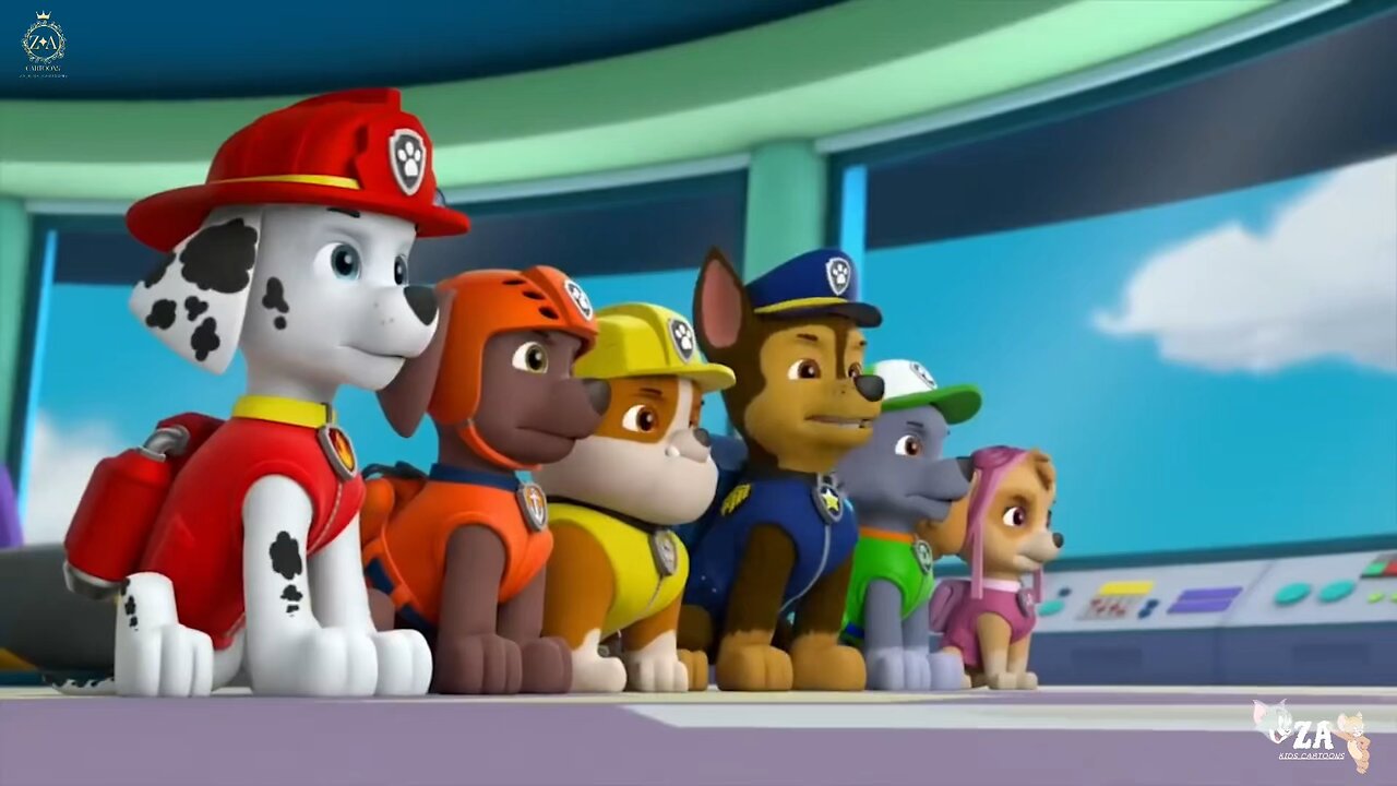 PAW Patrol Cartoons