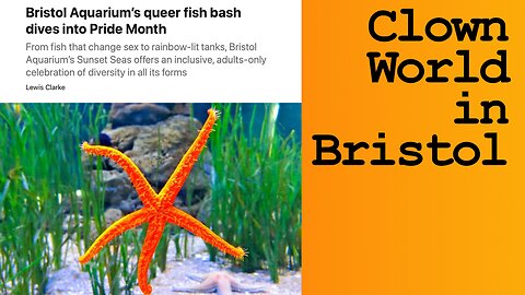 Non Binary Fish at the Bristol Aquarium