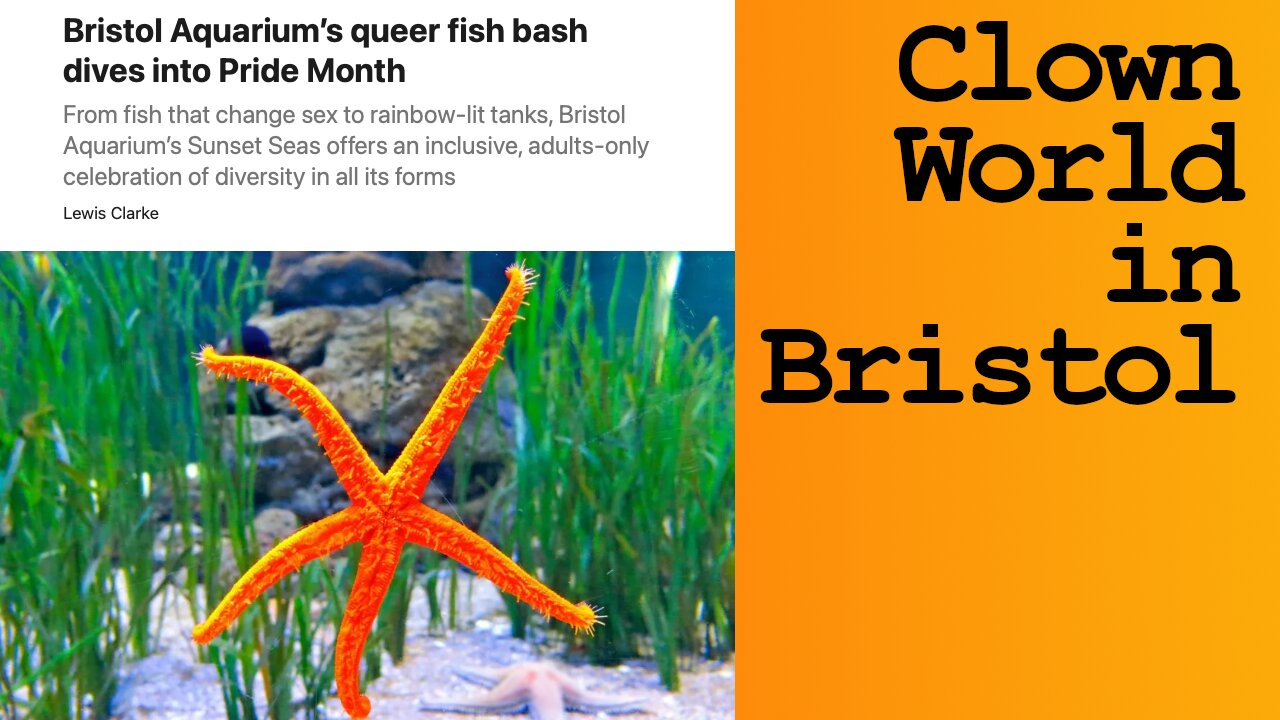 Non Binary Fish at the Bristol Aquarium