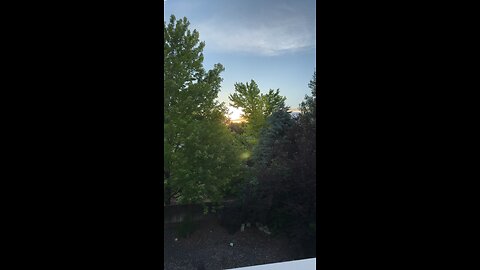 Good morning ☀️