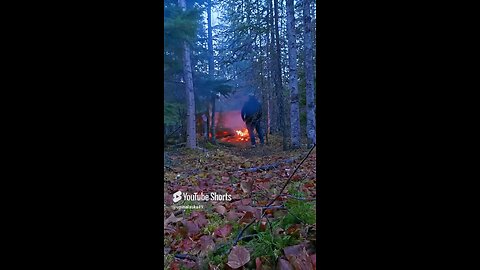 Camping ASMR #Alaska #Camping #ASMR #Nature #Outdoors #Bushcraft #Hiking #fyp #DJIaction5pro #Fish