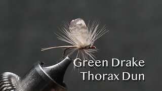 Green Drake Thorax Dun: a Vincent Marinaro dry fly