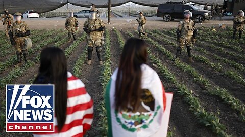 Border chief rips Dems' ICE resistance after pot farm raid: 'This is what you get!'