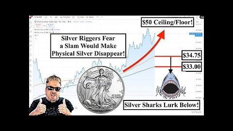 SILVER ALERT! Silver Holds Strong As Riggers BACK OFF! TFuel or Theta 4 BEST CRYPTO BUY ! (Bix Weir)
