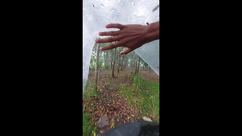 Walking Alone in the Jungle While It Rains | Peaceful Nature Sounds