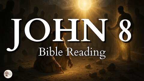 Book of John Chapter 8 | Peaceful Bible Gospel Audio Reading for Stillness and Scripture Meditation