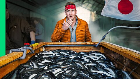 Inside Japan's Most Bizarre Seafood Farm!!