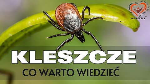 UWAGA co warto wiedzieć - Kleszcze? Jak zapobiegać i robić po ukąszeniu? Naturalne sposoby.