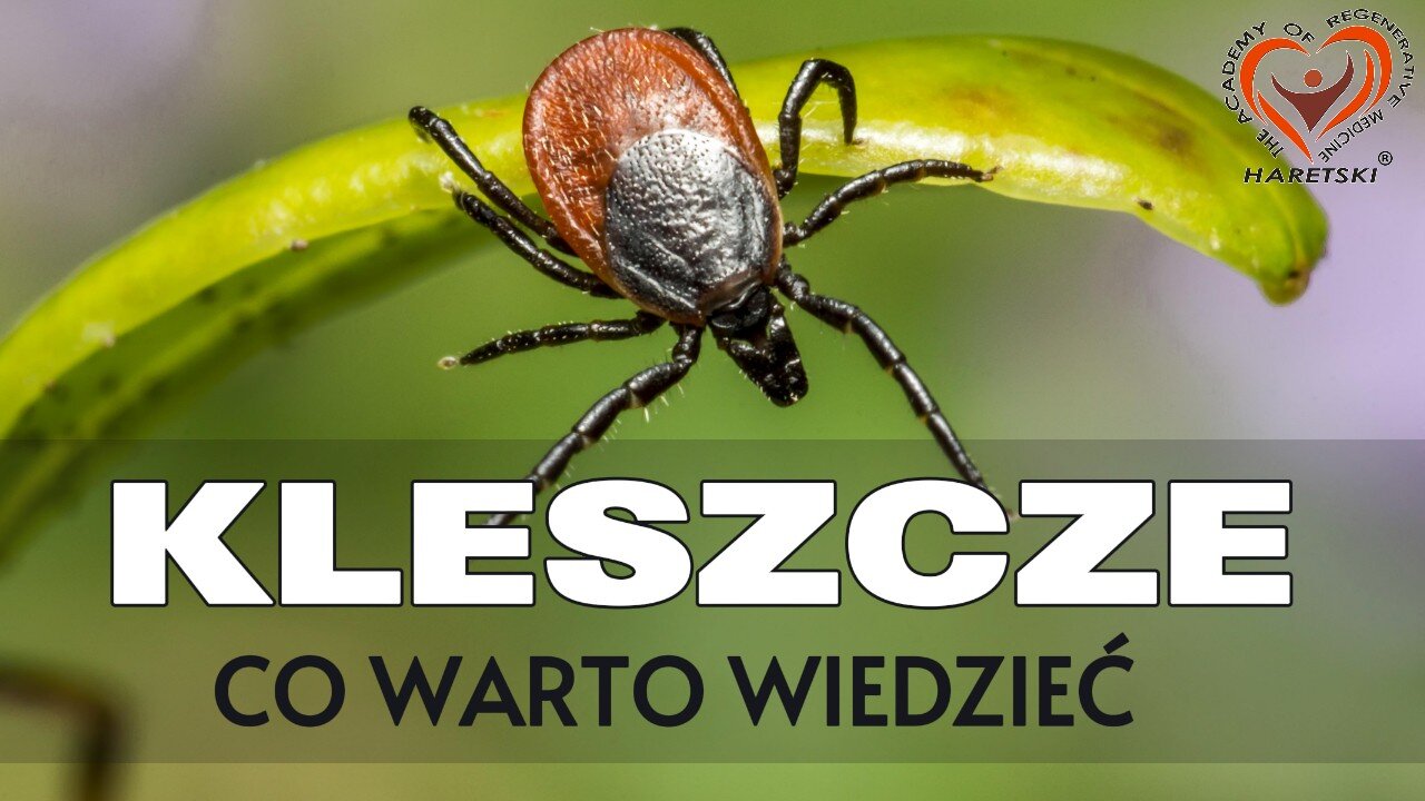 UWAGA co warto wiedzieć - Kleszcze? Jak zapobiegać i robić po ukąszeniu? Naturalne sposoby.