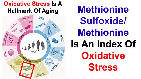 Methionine Sulfoxide/Methionine Is An Index Of Oxidative Stress