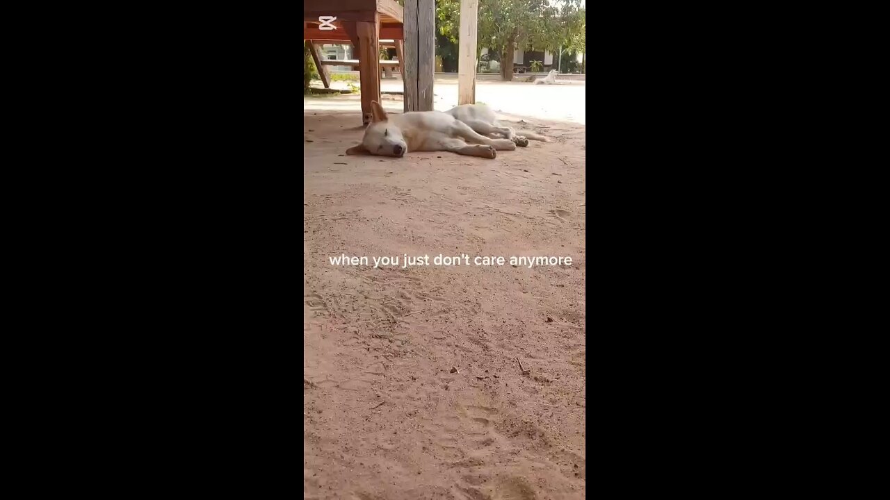 Deadly Predators on the move