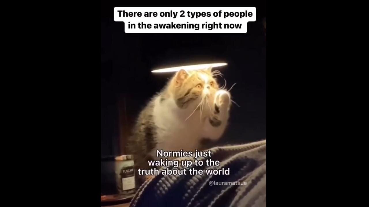 "There's only 2 types of people in the awakening right now" ❤️ Grand rising ❤️