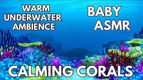 🪸 Calming Corals Ambience | Warm Underwater Sea & Bubbles | 4K Baby & Toddler ASMR | Summer