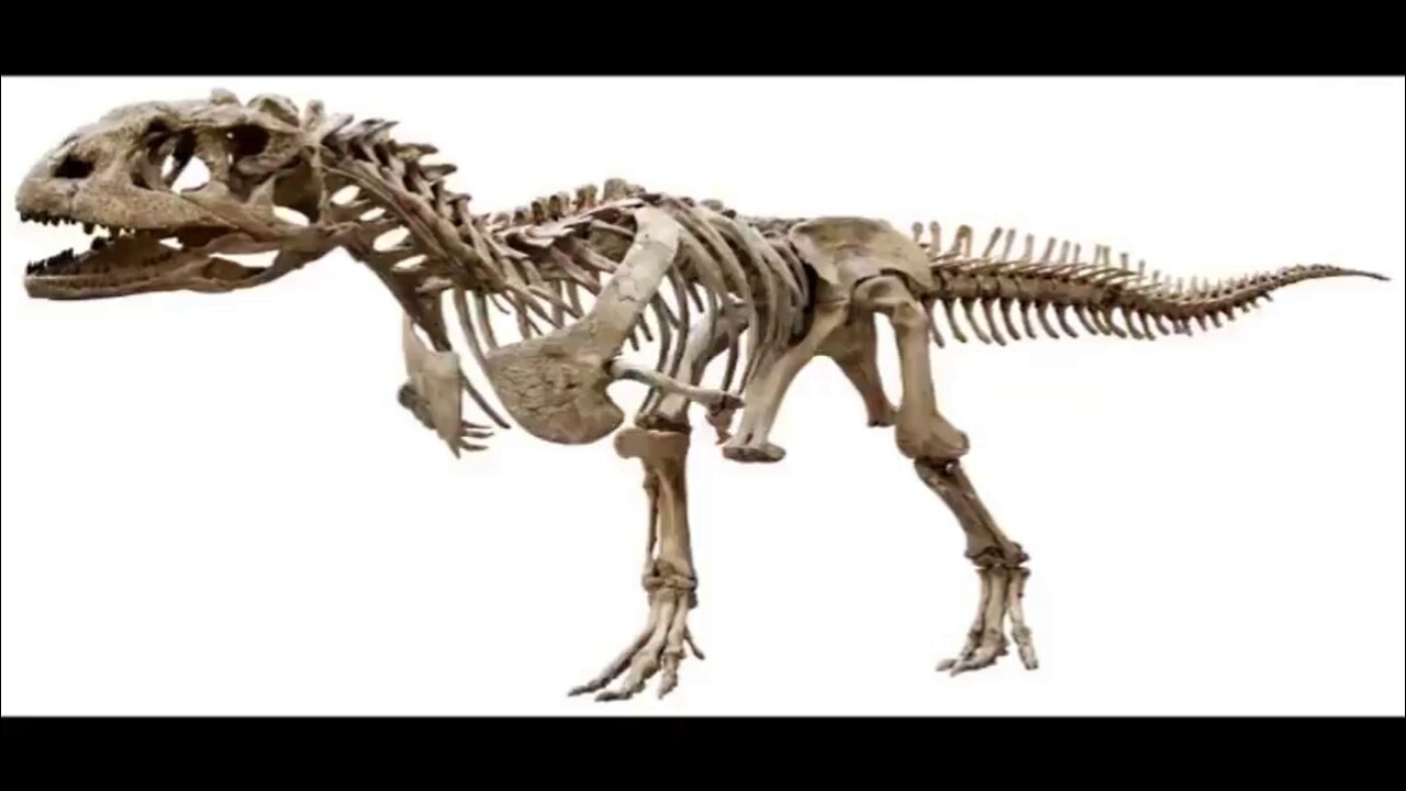 Evolution and Dinosaurs Debunked - Documentary - It is All Fake