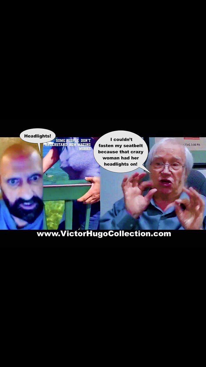 Woke Woman Attacks Mating Ducks After Hearing Jim Fetzer Was Arrested For Not Wearing His Seat Belt