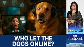 The Animal Internet: How Tech Is Connecting Pets With Videocalls, Media Centres | Vantage