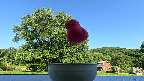 Slow Motion Squishy Duck Drop / Splash
