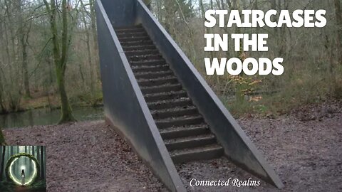Staircases In The Woods