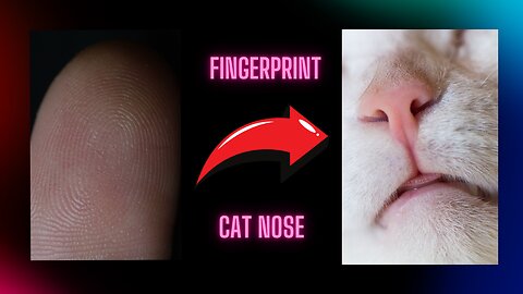 cats nose facts #videoviral