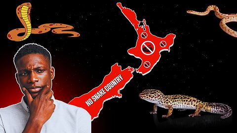 Unraveling the Mystery: How This Country Became Snake-Free!