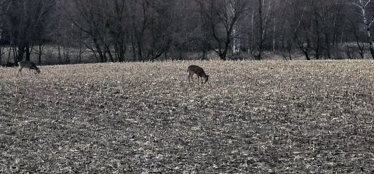 Why we can't have gardens