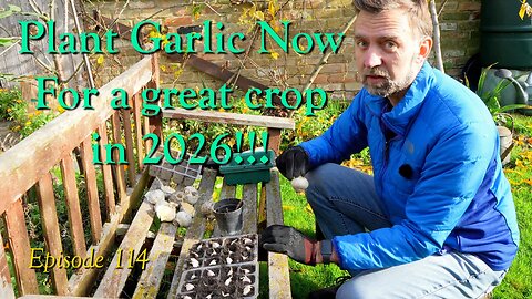 Planting Garlic for 2026