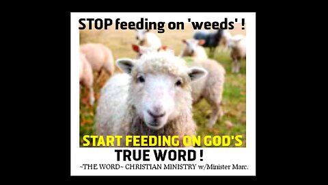 STOP FEEDING ON WEEDS - START FEEDING ON THE TRUE WORD OF GOD!