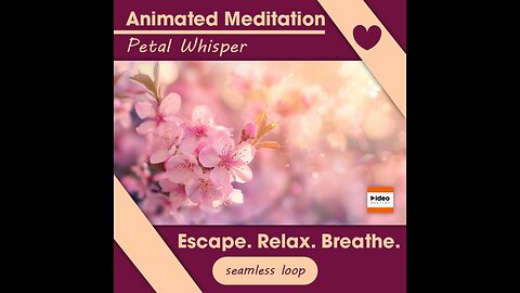 🌸Petal Whisper • Therapeutic Meditation Relaxation Stress-Relief Nature • Low Stim Seamless Ambient