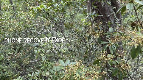 Expedition Waterfall Phone Recovery