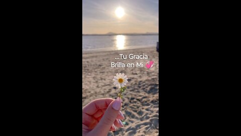 Feliz inicio de mes 🌺🌺