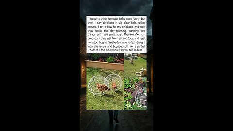 Chicken Globes, The New Backyard Craze