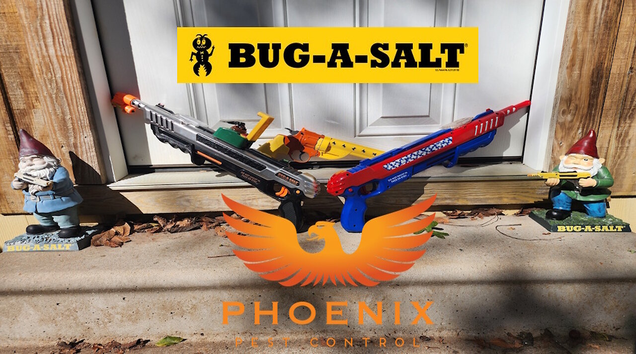 Bug-A-Salt, The Most Fun and Silly Way to Kill Bugs