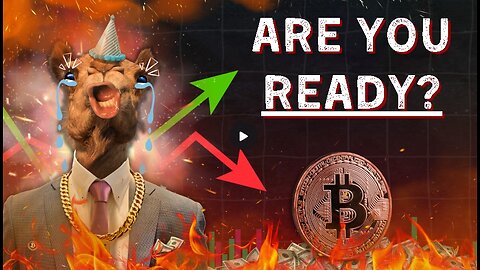 Friday Market Summary With Camel