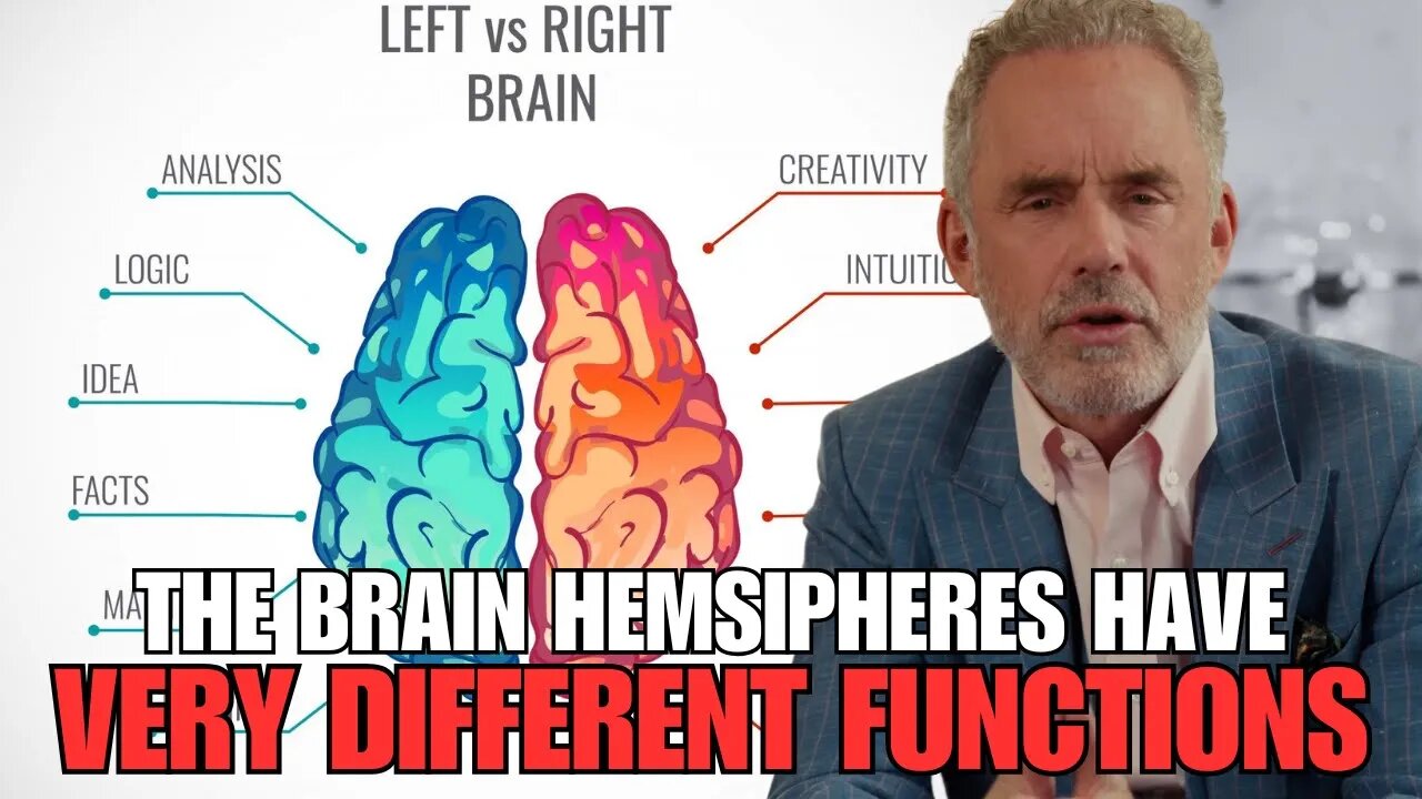'How A Person Think' - Jordan Peterson On How The Brain Works