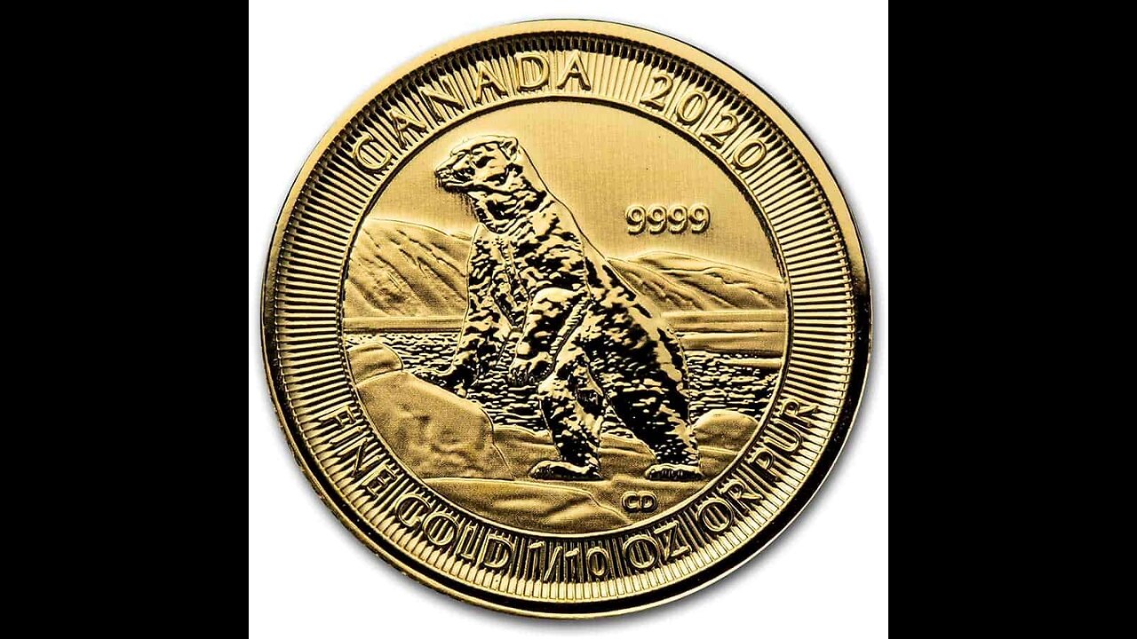 1/10oz Gold Polar Bear
